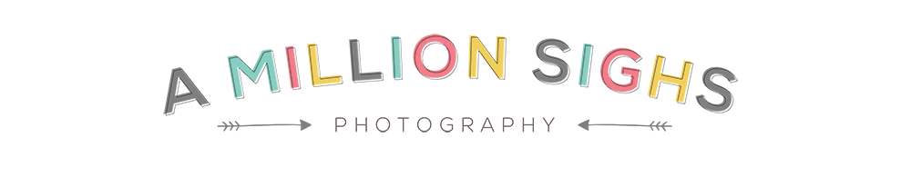 A Million Sighs Photography Blog | Orlando Florida Wedding & Portrait Photographer logo
