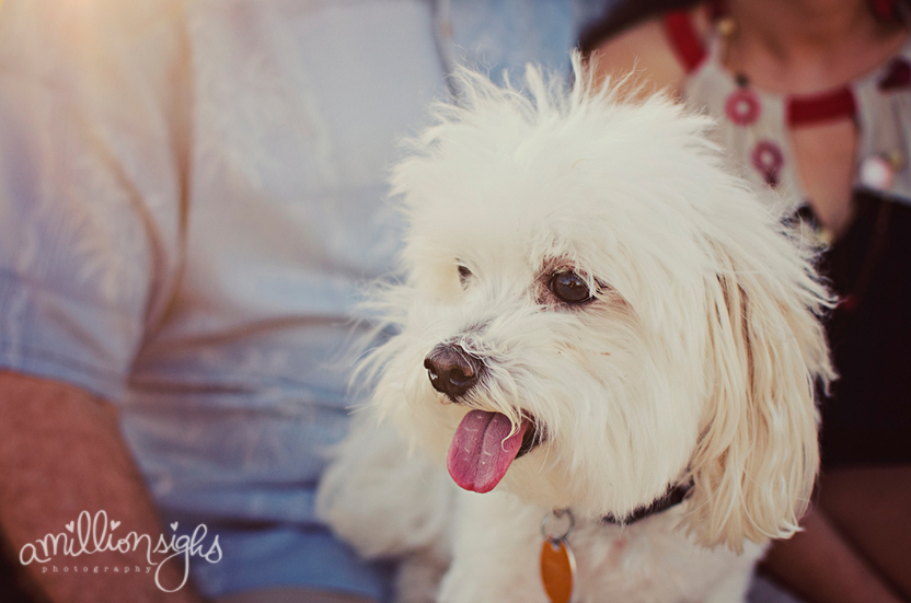 orlando-family--photographer021.jpg